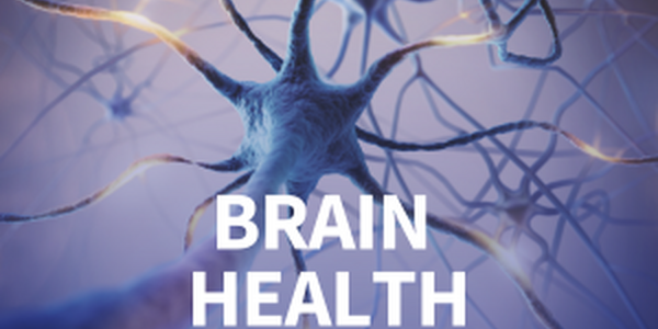 brain health neurons